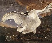ASSELYN, Jan, The Threatened Swan